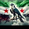 user82041800780