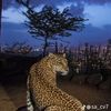 user157ann34
