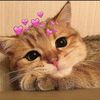 moni__1902