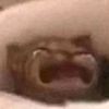 waos_xxdd
