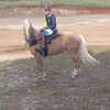 rodrigolopes6740