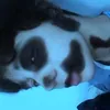 laura.zzz5