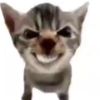 tcslvr_