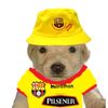 jaime11964
