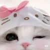 lily_mocha3