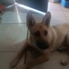 marga2545