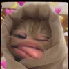 __o.sin.tap.lam.giau__