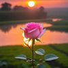 sb.sojib.khan75