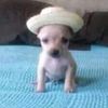 oliver.retamal