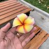 floweriiy_