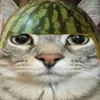 r4ndom_us3rn4m3