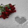 almas49751