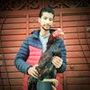 .arslanali5