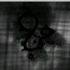 thequestionerkych