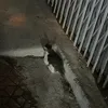 nganngancute._
