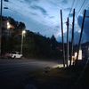cho_armando_502