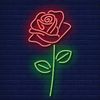 user_twiqzi