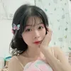 ntnt29202