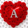 afaf.ayman5