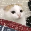 phuhoangthanhnguy