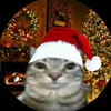 account1346