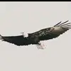 AZAR_712