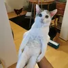 andrewbsx