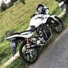 tiger..boleng