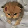 thanhmai120727