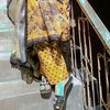 fiza.khan178