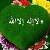 user6156072125928