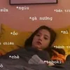 meox.em