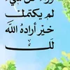 user4627711285058