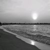 dilara_47_21