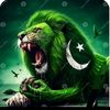 zahir.khan298