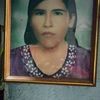 adelita6742