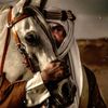 abdullahb_52