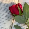 mereim744
