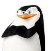 skipper_penguim