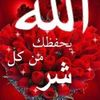user4953333942807