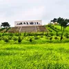 sherwan.shahab