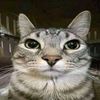 juancho_20140