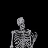 skeleton