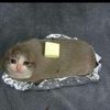 buttered_up_cat