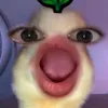 nnlananh08