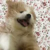 hellooorio