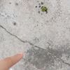 touchthegrassweirdo