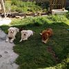 user2055317542394cesarom