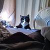 alayna5755