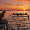 alyaaalhmamy6